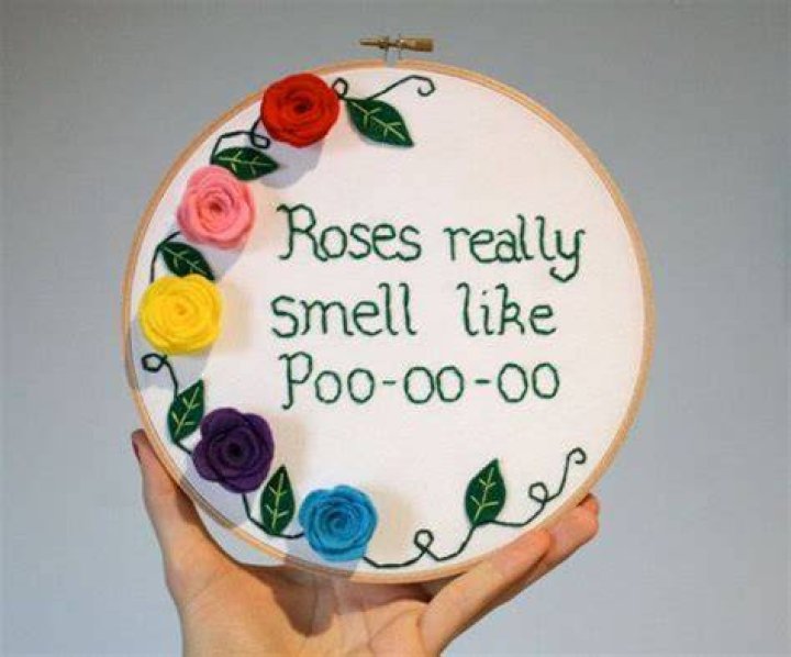 Roses Really Smell Like Poo Poo Cross Stitch