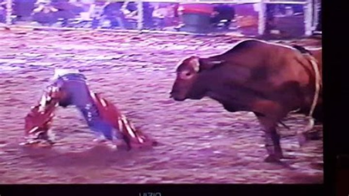 Roy Dinges bullriding "Mexican" YouTube