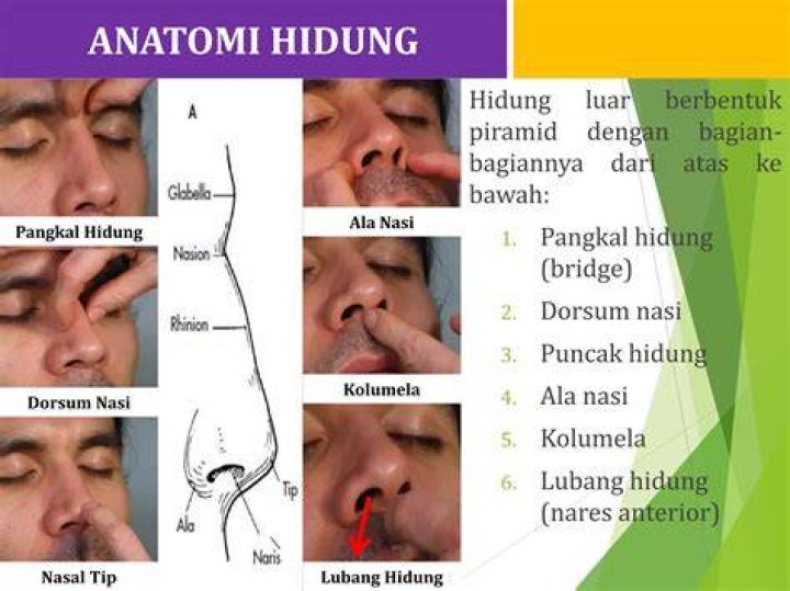 SALING INDONESIA Cara Cek Posisi Artikel Di Search Engine (Check SERP