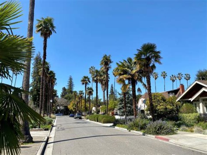 Sam Shamoun Mountain View, California, United States Professional