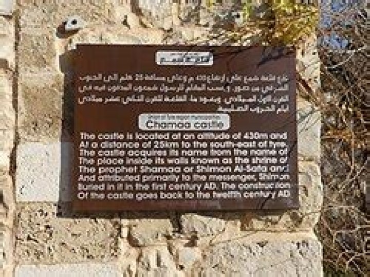 Sam Shamoun Wikipedia Age And Biography