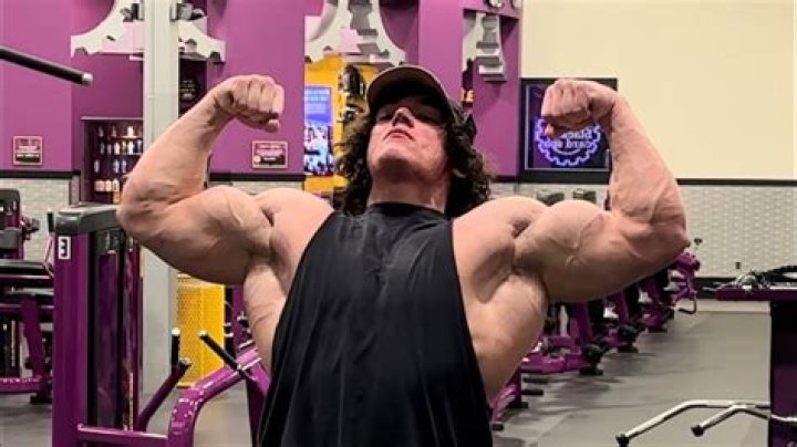 Sam Sulek and the Fitness Industry The Clarion