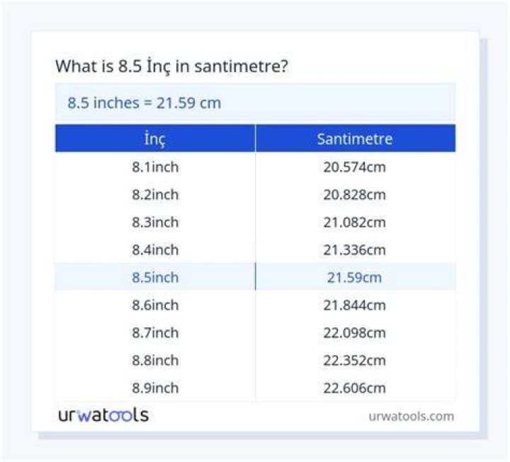 Santimetre İn&ccedil; D&ouml;n&uuml;ş&uuml;m&uuml; Nasıl Yapılır? 3 Adım (Resimlerle)
