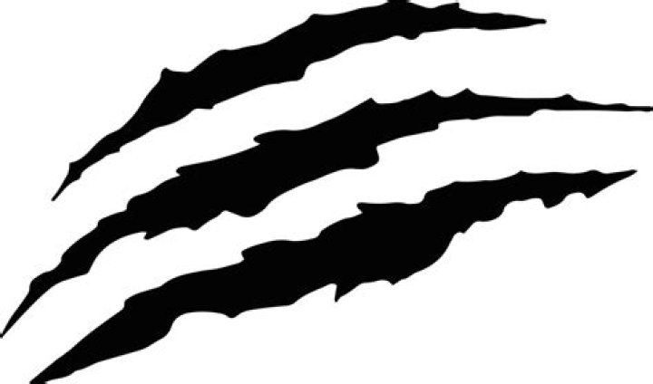 Scar Png Images Free Transparent Background Free Download PNG Images
