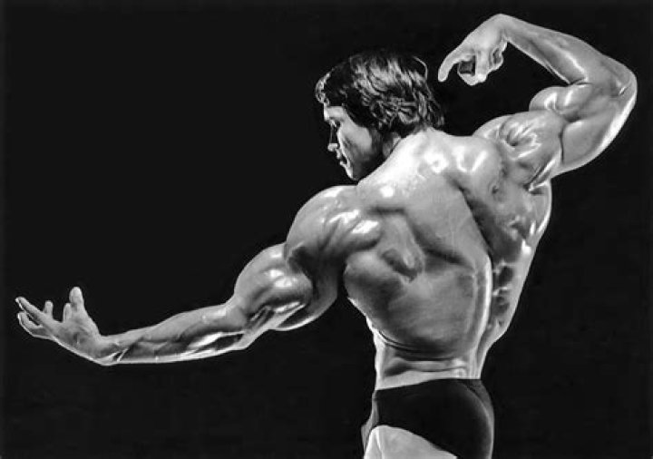 Schwarzenegger in his prime. Simply amazing Arnold schwarzenegger