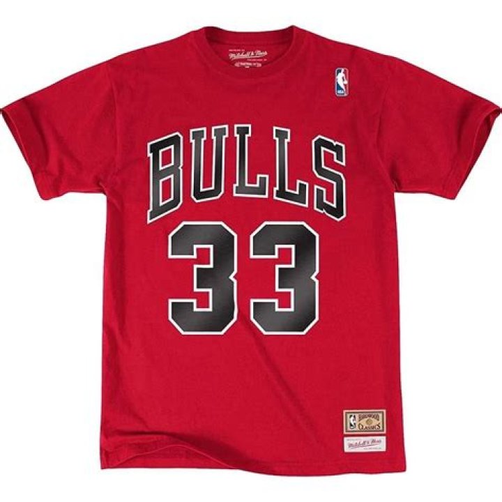 Scottie Pippen Chicago Bulls Mitchell & Ness 199596 Hardwood Classics
