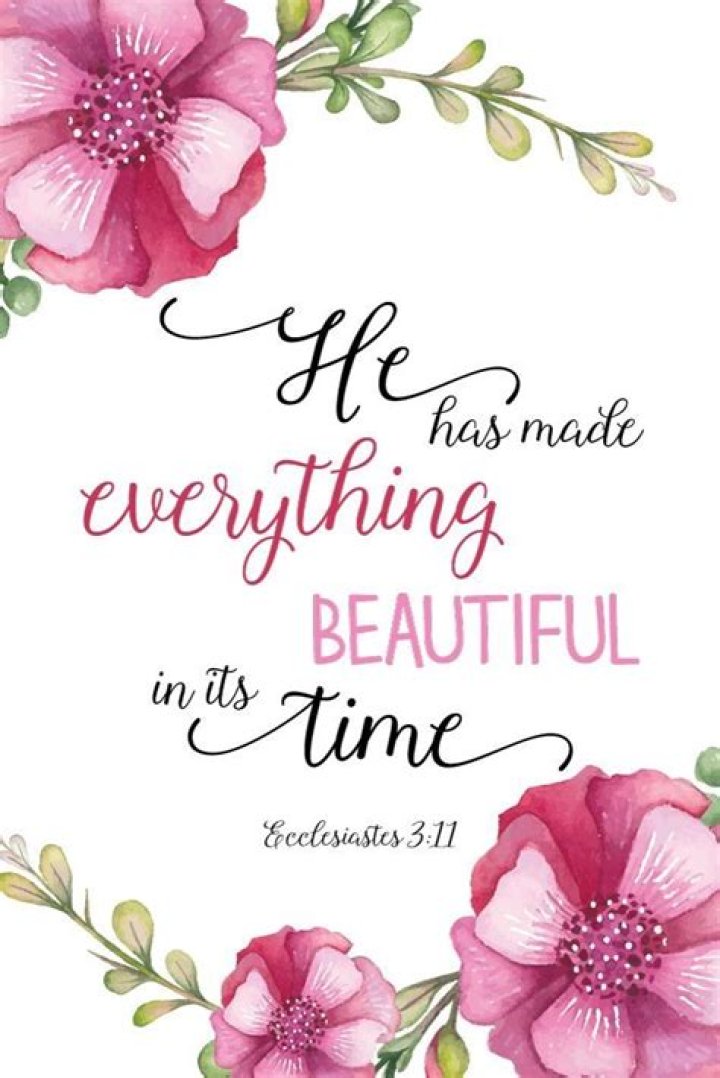 Scriptures With Flowers Beautiful Insanity