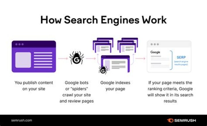 Search Engine Ranking Check How To Rank And Maintain With Proven