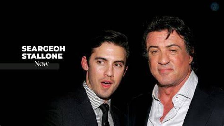Seargeoh Stallone Bio Early Life, Career, Everything We Know