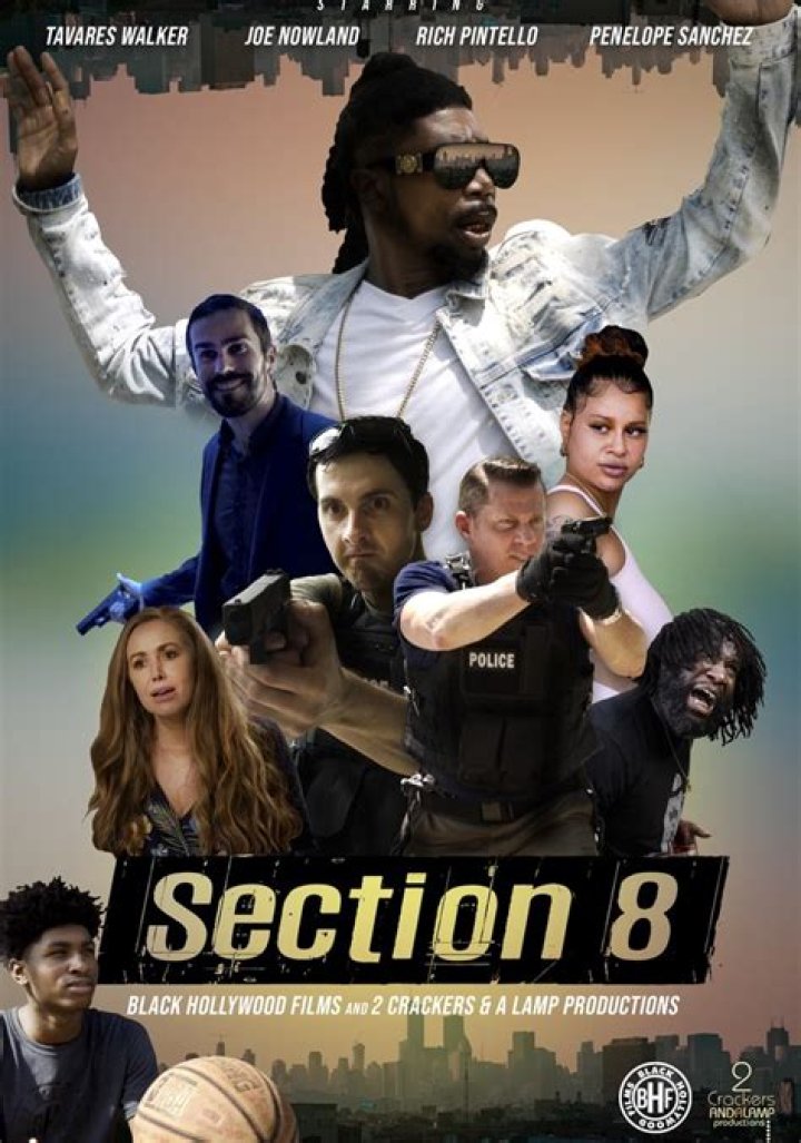Section 8 streaming where to watch movie online?