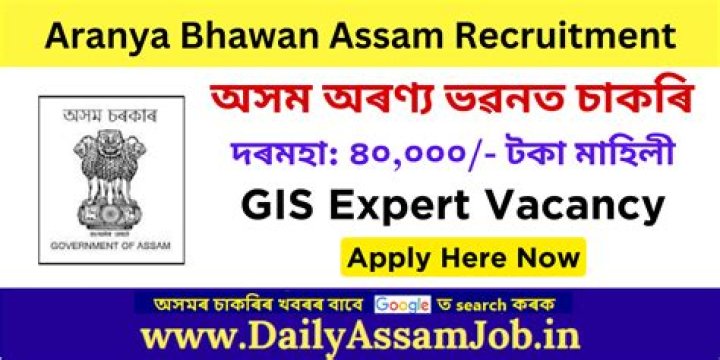 SEO expert Vacancy Kohuwala ikmanJOBS