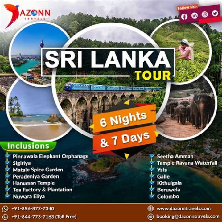 SEO Packages For Sri Lanka