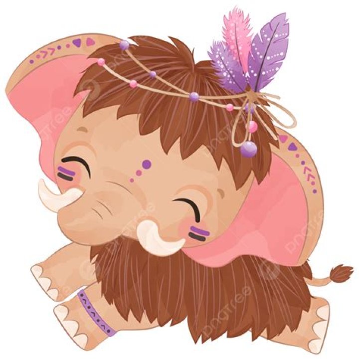 Serie Tribal Lindo Beb&eacute; Reno PNG , Im&aacute;genes Predise&ntilde;adas De Renos