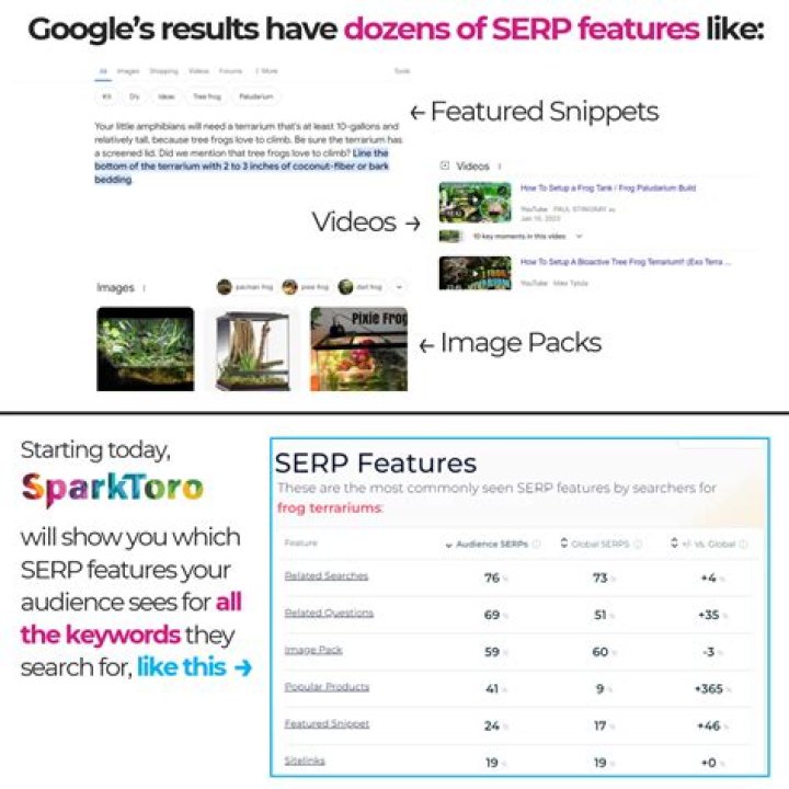 SERP Features Monitor Rank Ranger