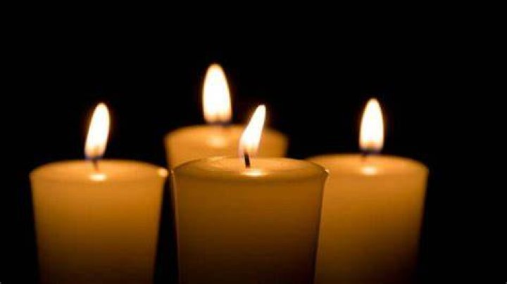 Shannon Lydic's Death Cause of Death and What Happened Bienpincherico.mx