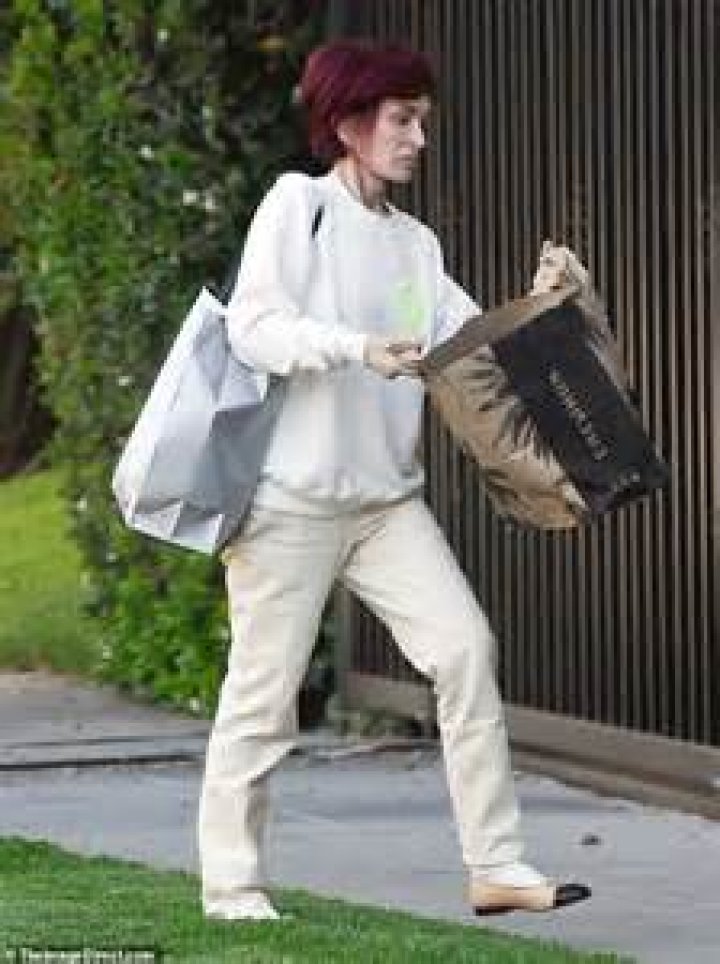 Sharon Osbourne from Better or Worse Celebs Who Have Had Plastic