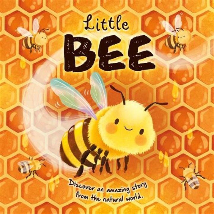 Shawna Railey little bee books