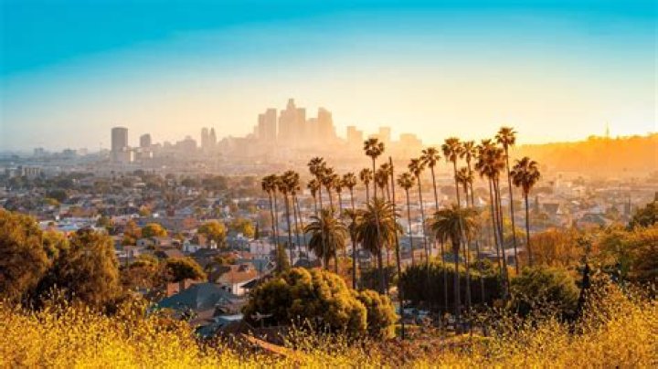 Shivner Abby Los Angeles, California, United States Professional