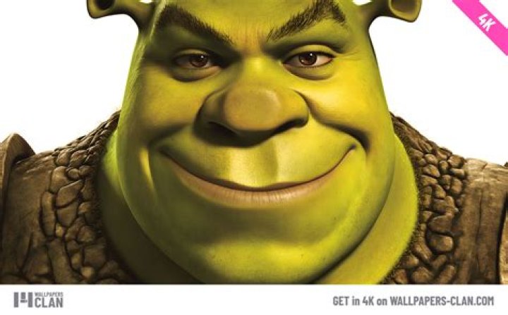 Shrek Shrek Wallpaper (13821303) Fanpop Page 3