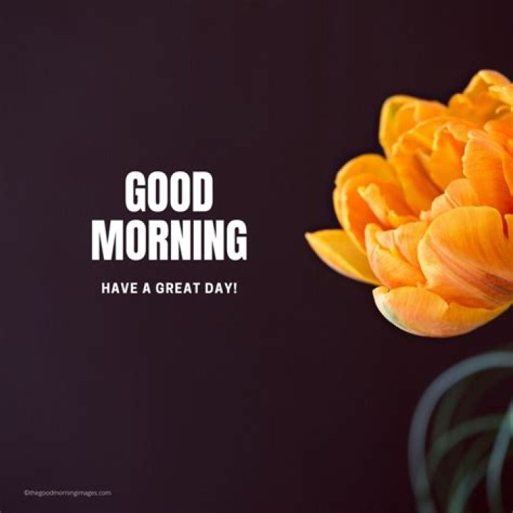 Sign in Good morning quotes, Rainy good morning, Good morning rainy day