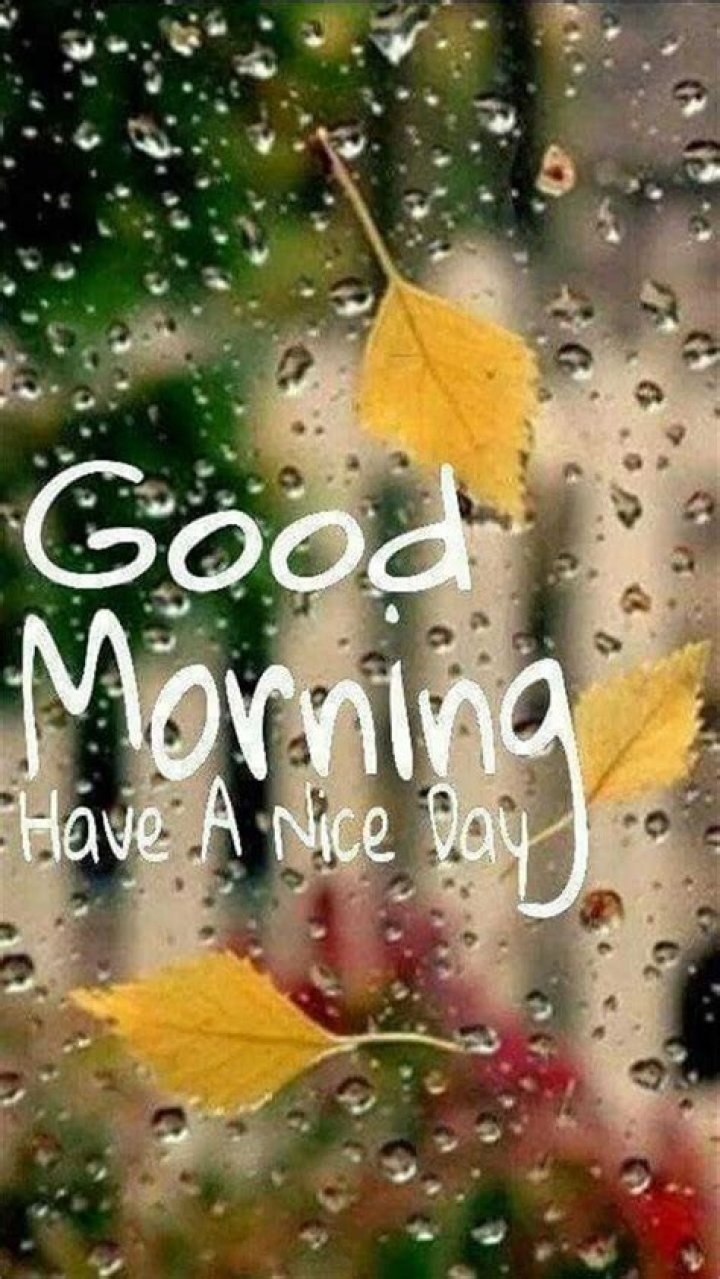 Sign in Good morning rainy day, Rainy good morning, Good morning