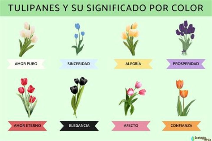 Significado de la canci&oacute;n El Tsurito (part. Peso Pluma y Gabito