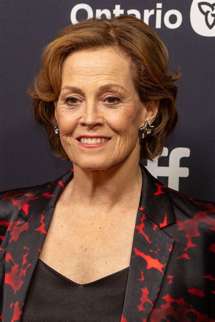 (((Sigourney B))) 🐹🐓 on Twitter "Good morning to everyone except my