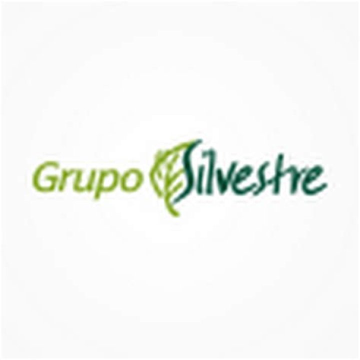 Silvestre YouTube