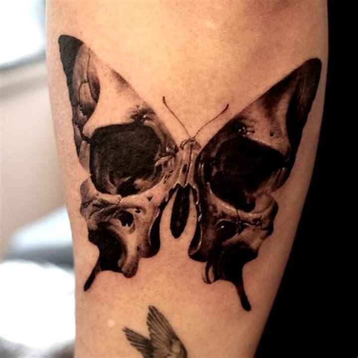 Skull Butterfly Tattoo Meaning Unveiling the Symbolism Behind a