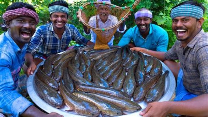 SNAKEHEAD MURREL FISH Viral Meen River Fish Fry Cooking In Village