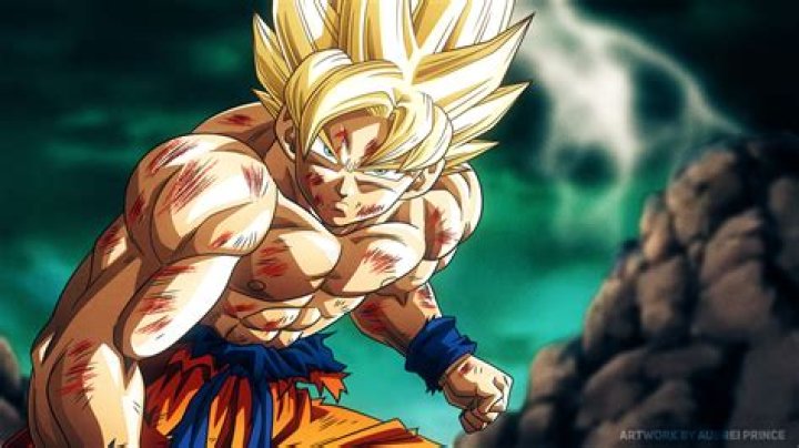 Son Goku (Dragon Ball Z) VS Battles Wiki Fandom