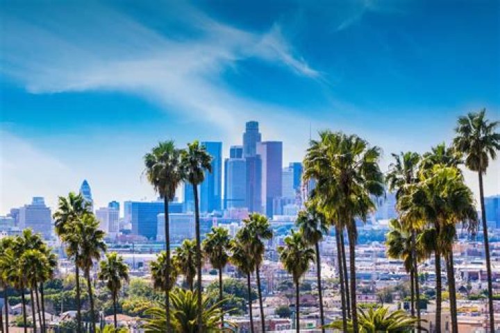Soy California Los Angeles CA