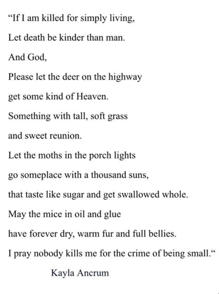 Spider Poem by Kayla Ancrum in 2024 Writing poems, Literature quotes