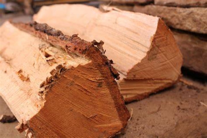 Split Wood Free Stock Photo Public Domain Pictures