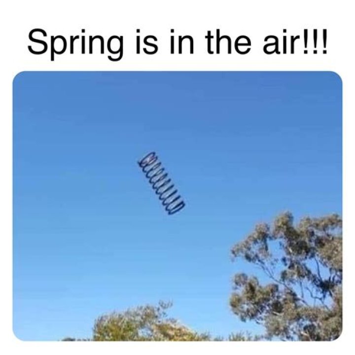 Spring is in the air Meme by captaintropical ) Memedroid