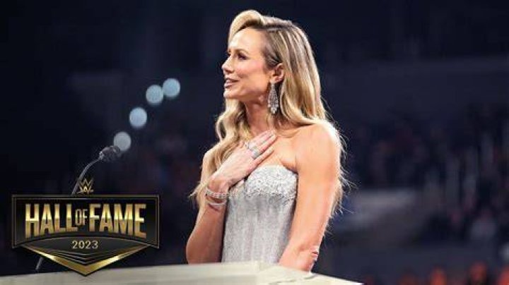 Stacy Keibler WWE Divas Wallpaper (3993439) Fanpop