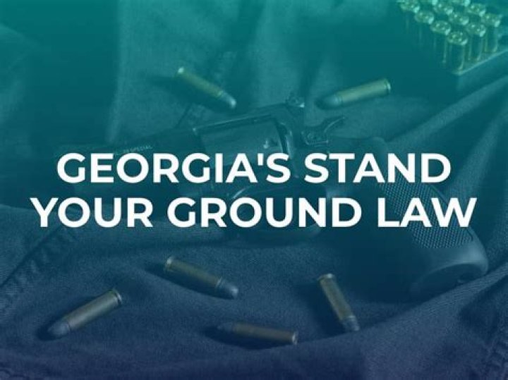 Stand Your Ground Law Gets Lawsuit Against Saban's Daughter Dismissed