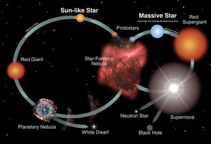 Stars' secret scars Fox News