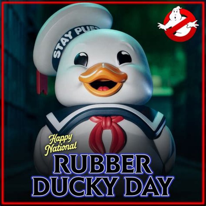 Stay Ducky 🦆