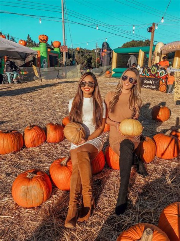 Step Sister Pumpkin allrecipes