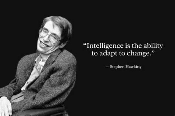 Stephen Hawking in quotes The best pearls of wisdom from one of the
