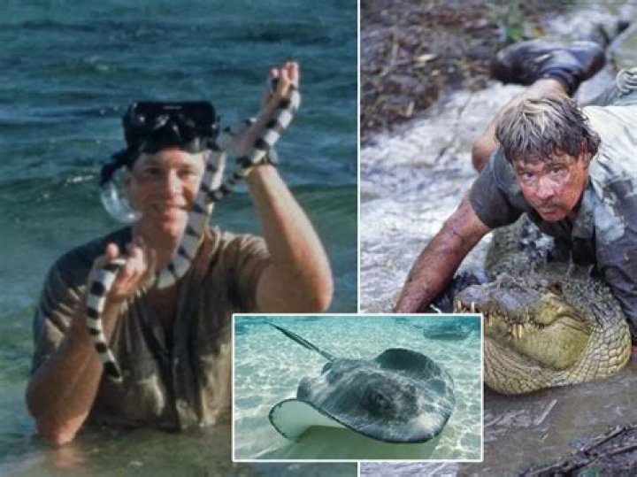 Steve Irwin New details on Crocodile Hunter's death video revealed by