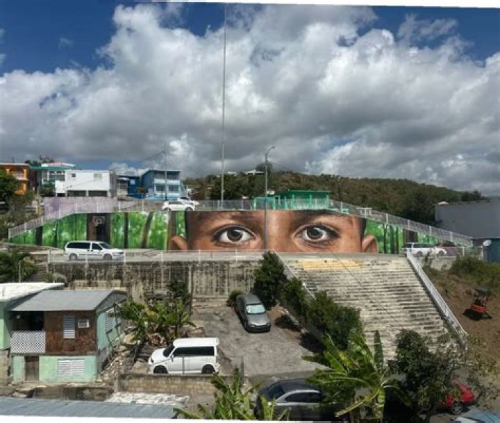 Streetart David Zayas Manat&iacute;, Puerto Rico Barbara Picci