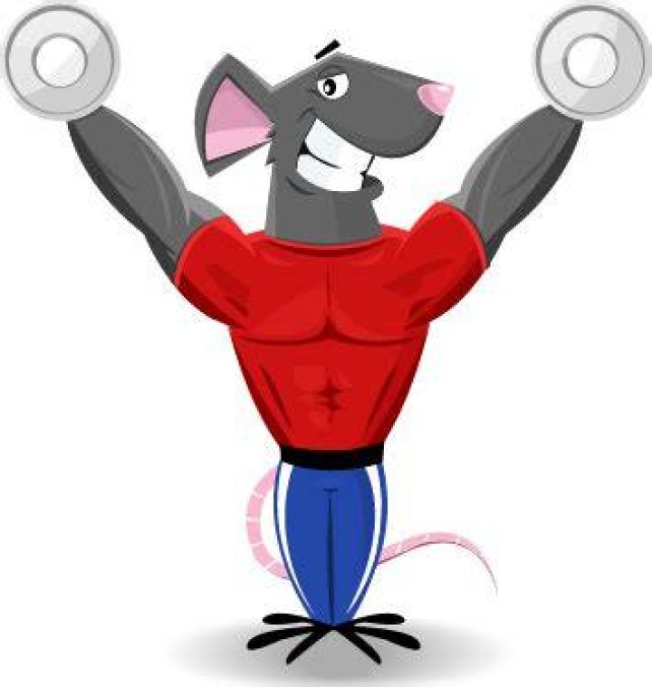 strong mouses Clip Art Library