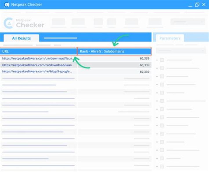Study Your Domain Rating with Netpeak&rsquo;s Ahrefs DR Checker Netpeak