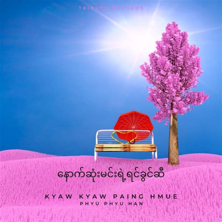 Su Thet Paing Hmue Contestant Miss Golden Land Myanmar 2015 (Photo