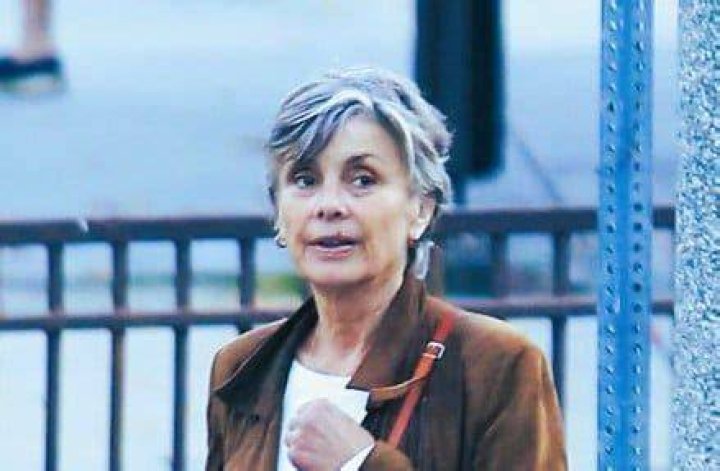 Sue Narramore Biography Facts About Michael Warren's Exwife
