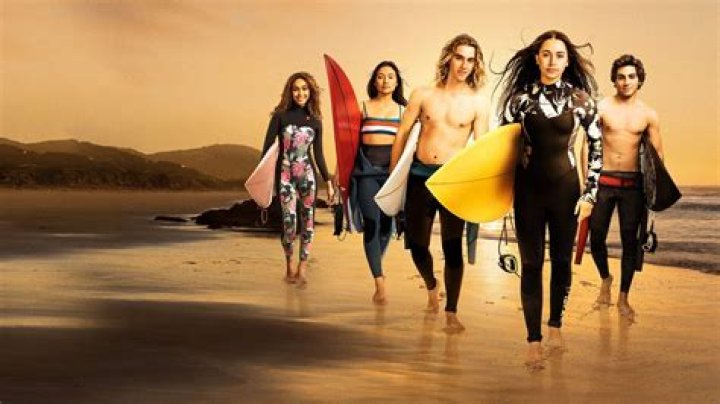 Surviving summer trama e cast Contrataque