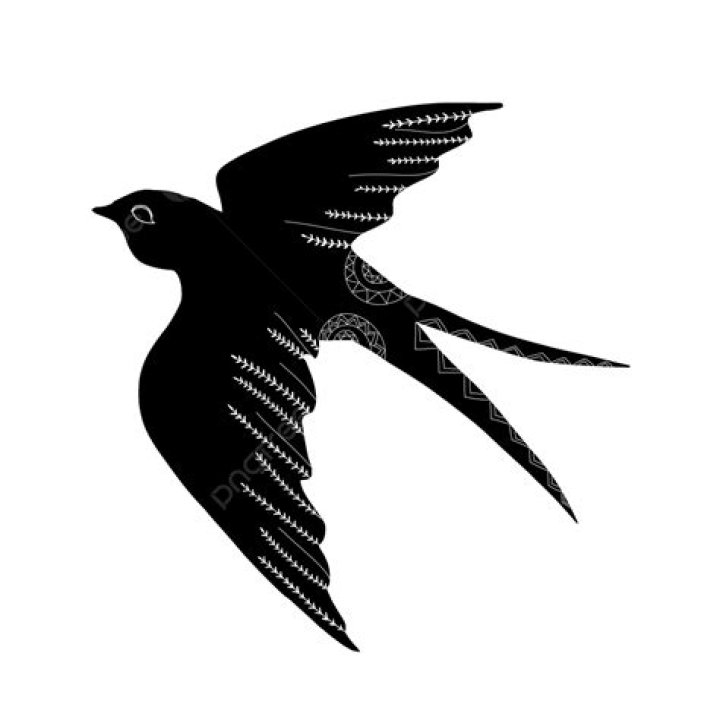 Swallow Silhouette PNG Transparent, Abstract Line Drawing Swallow