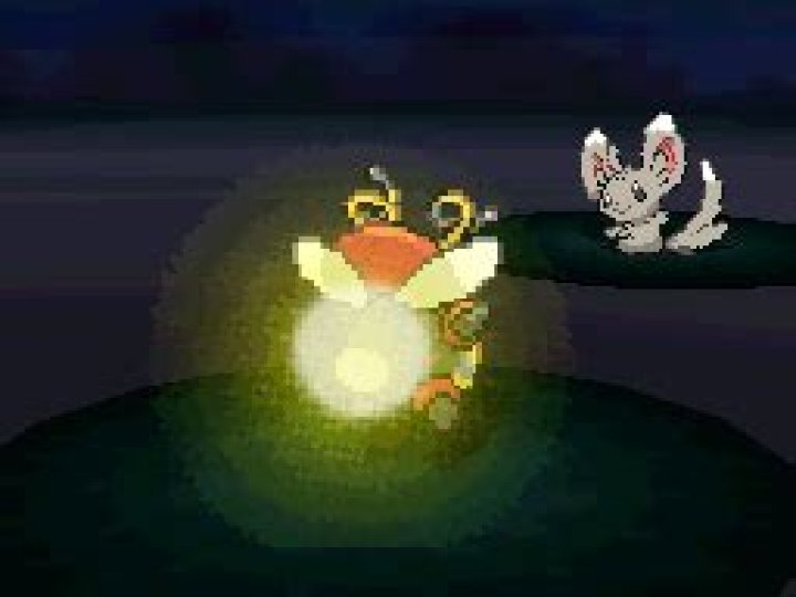 Tail Glow (move) Bulbapedia, the communitydriven Pok&eacute;mon encyclopedia